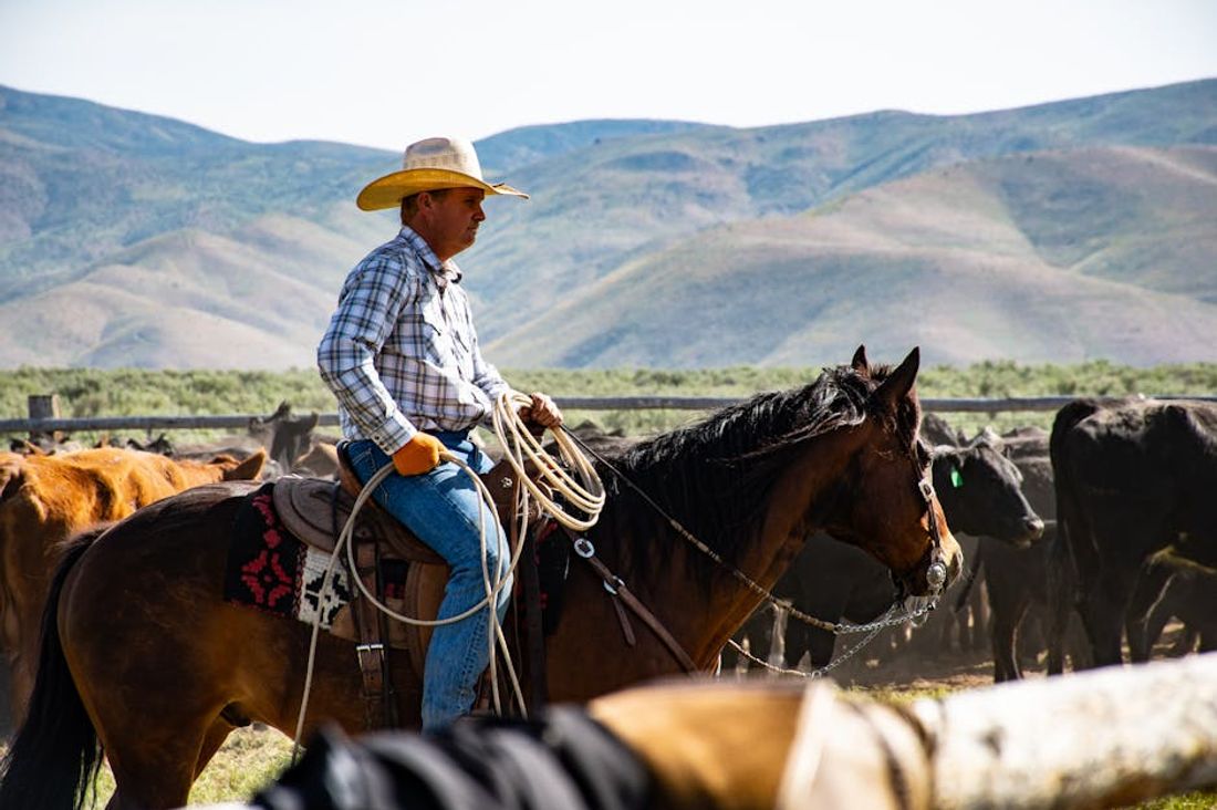 The Rise of Professional Rodeo: Cowboys, Cowgirls, and the Wild West Show