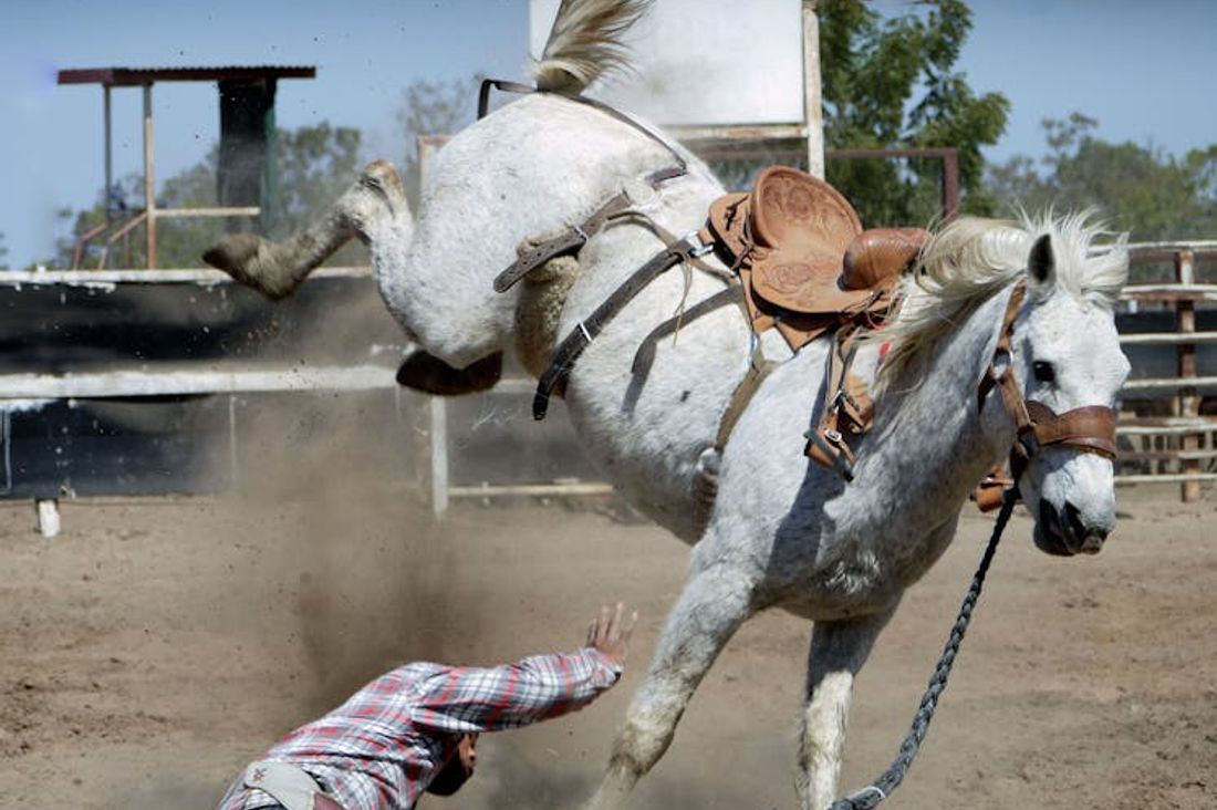 Modern Rodeo: A Thriving Sport with a Rich Tradition