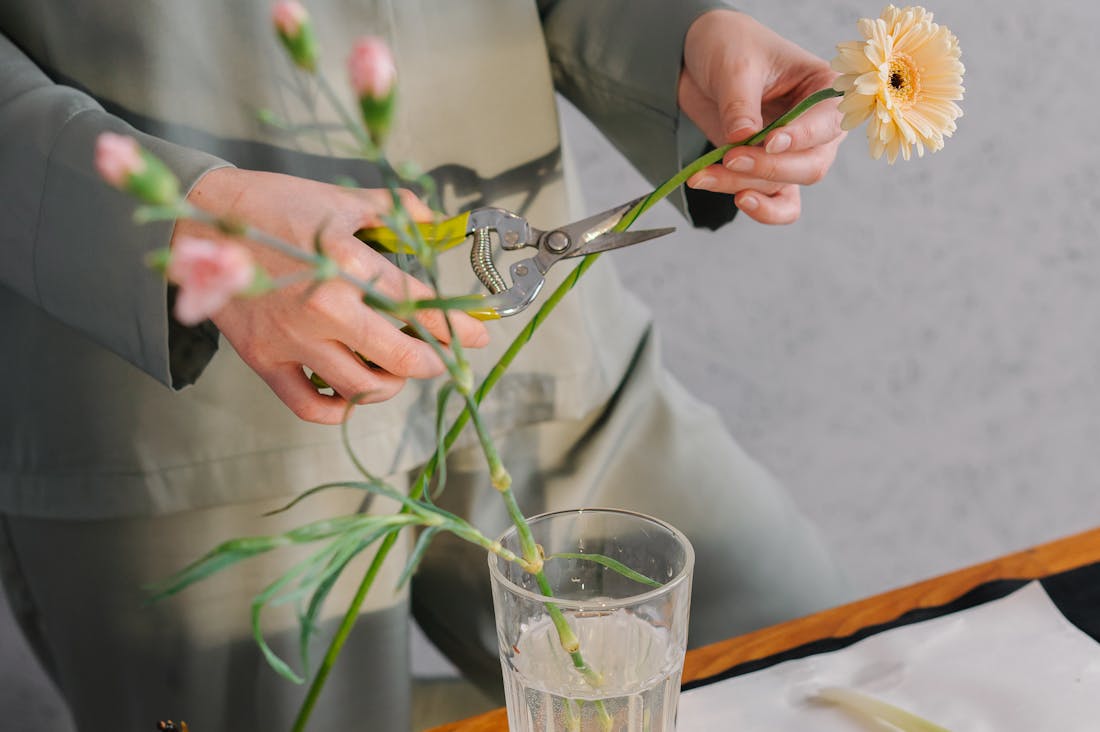 Exploring the Benefits of Meditation for Mental Health, Stress Reduction, and Overall Well-being Image 1