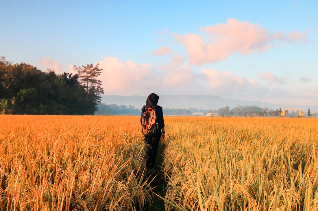 Exploring the World: How Travel Shapes Our Perspectives and Enriches Our Lives Image 1