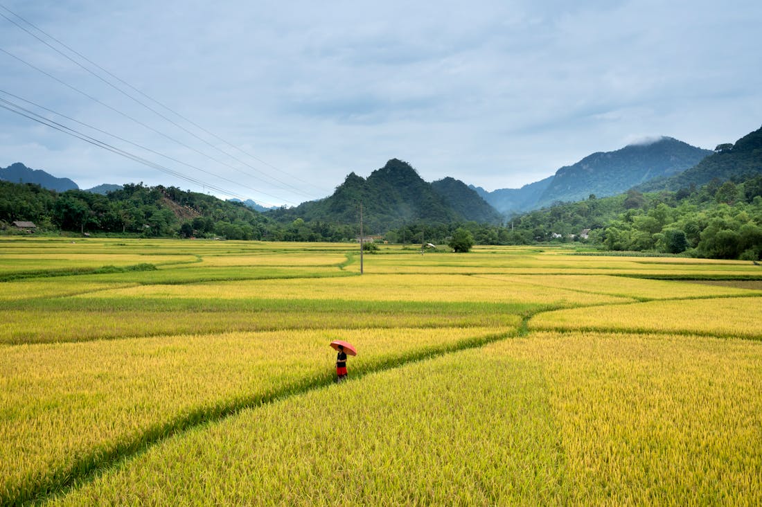 Exploring Unique Travel Destinations: Cultural Experiences That Transform Your Perspective Image 3