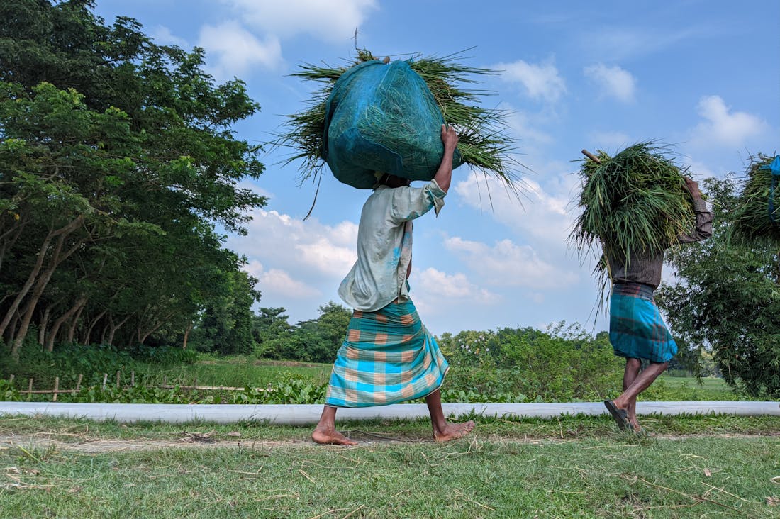 Exploring the Future of Travel: Embracing Technology and Sustainability for a Greener Globe Image 3