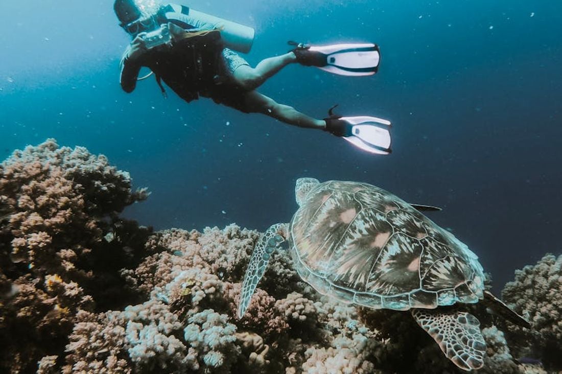 Conservation and Connection: Protecting Our Underwater Heritage