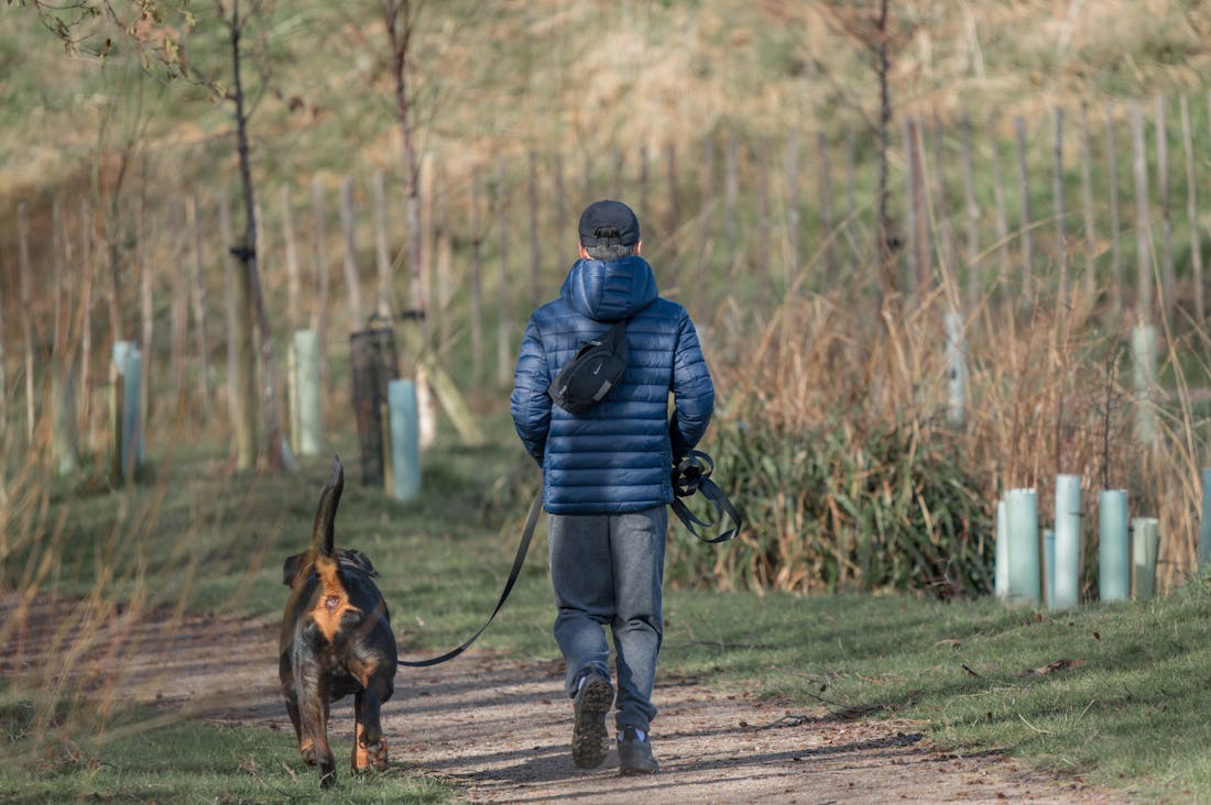 Why Walking Is the Most Underrated Exercise Image 1