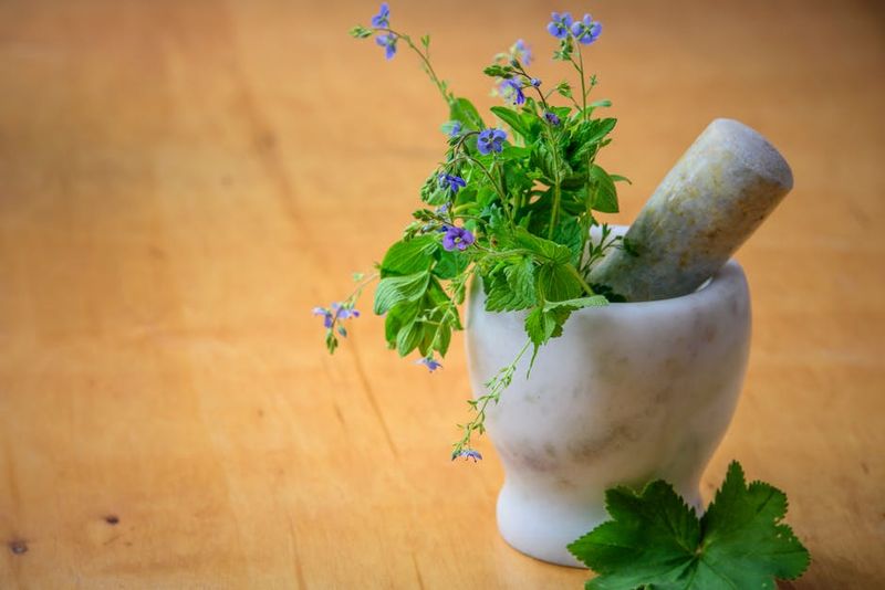 Integrating Alternative Medicine: A Complementary Approach