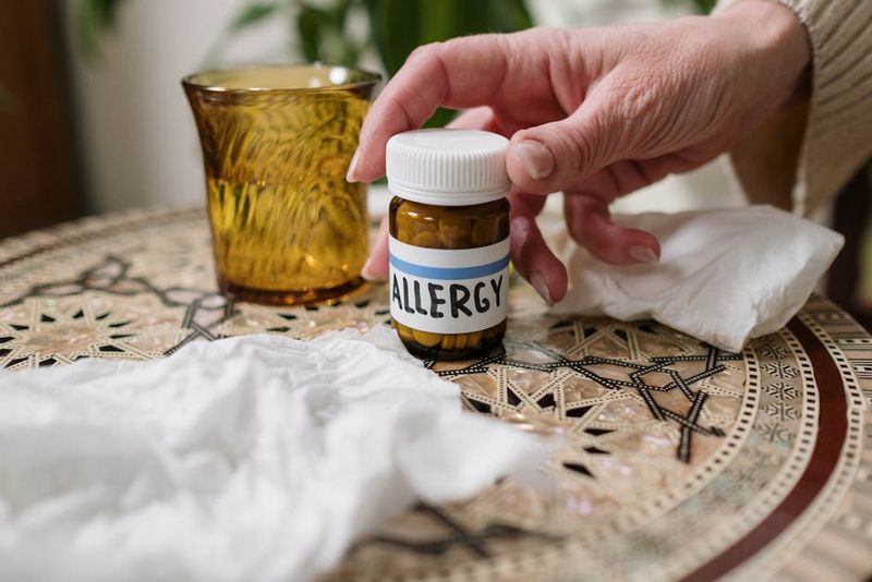 Adapting Your Lifestyle for Allergy Relief